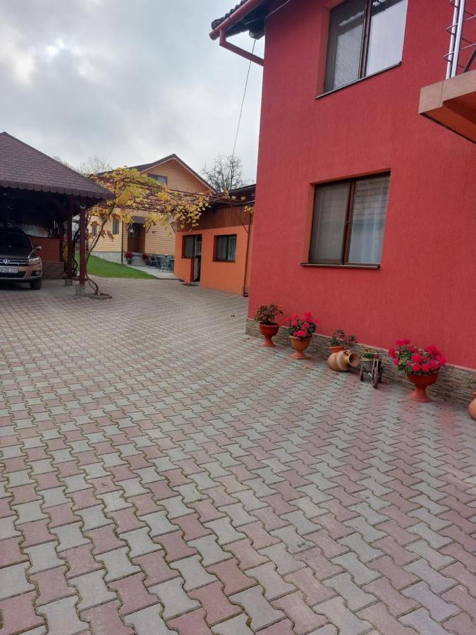 Vila Georgeta Zarnesti Exterior photo