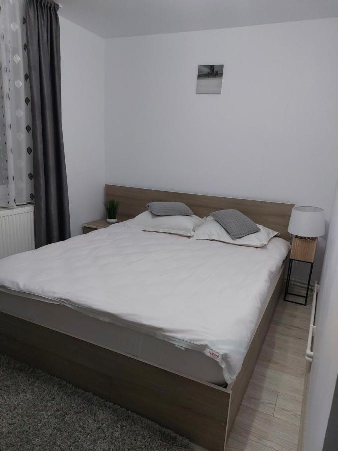 Vila Georgeta Zarnesti Exterior photo